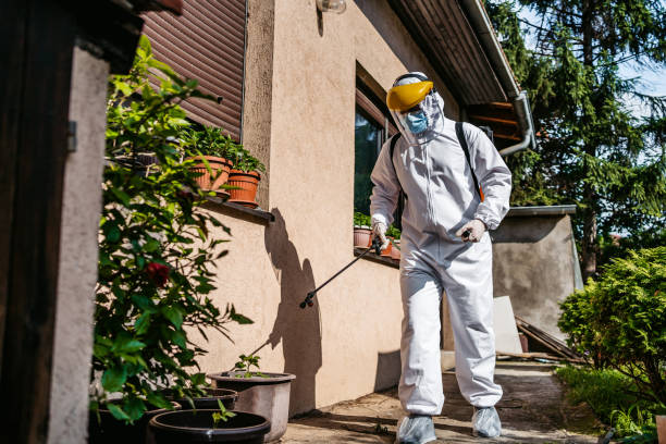 Best Cockroach Control Services  in South Monroe, MI