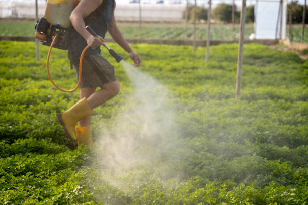 Pest Control Cost in South Monroe, MI
