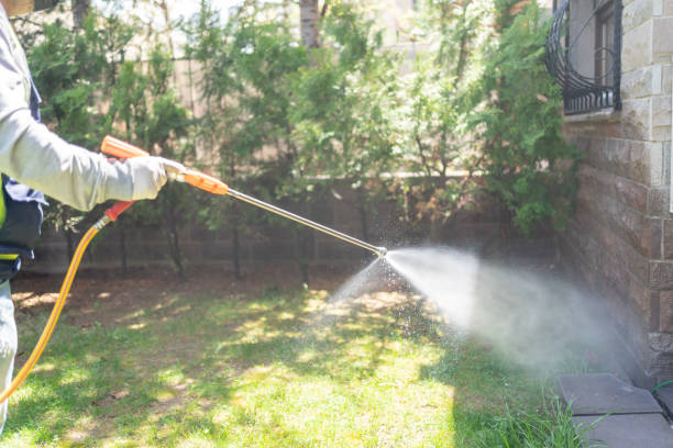 Best Bird Control  in South Monroe, MI