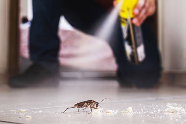 Trusted South Monroe, MI Pest Control Experts