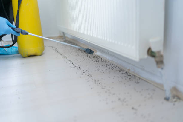 Best Pest Control for Homes  in South Monroe, MI