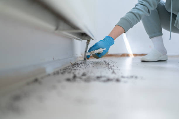 Best Wasp Removal Services  in South Monroe, MI