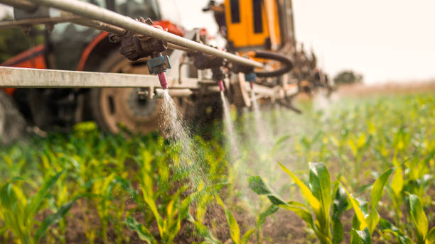 Best Best Pest Control Companies  in South Monroe, MI