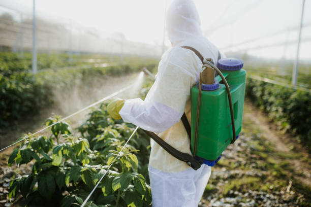 Best Commercial Pest Control Services  in South Monroe, MI